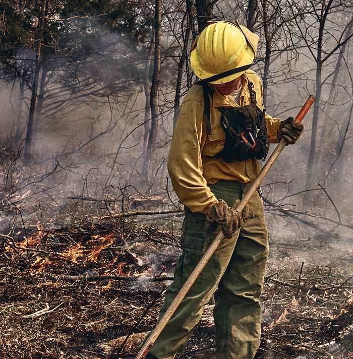 Wildland Shirts